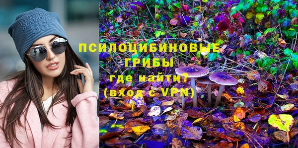 прущая мука Гусь-Хрустальный