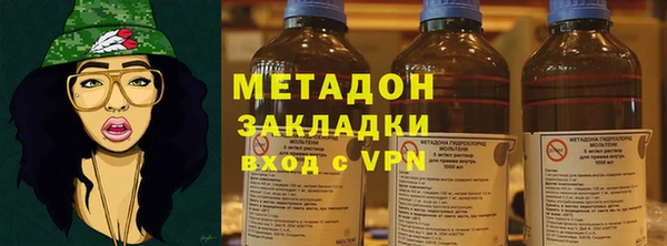 прущие грибы Гусев