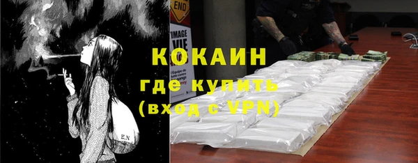прущие грибы Гусев