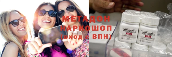 прущие грибы Гусев