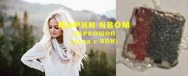 прущие грибы Гусев