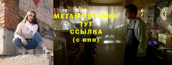 прущие грибы Гусев