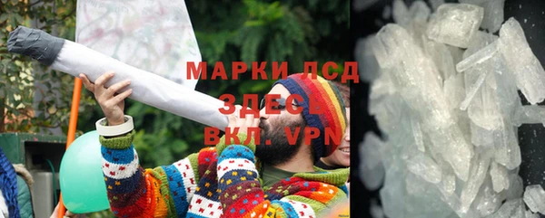 прущие грибы Гусев
